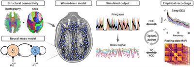 Spatiotemporal Patterns of Adaptation-Induced Slow Oscillations in a Whole-Brain Model of Slow-Wave Sleep